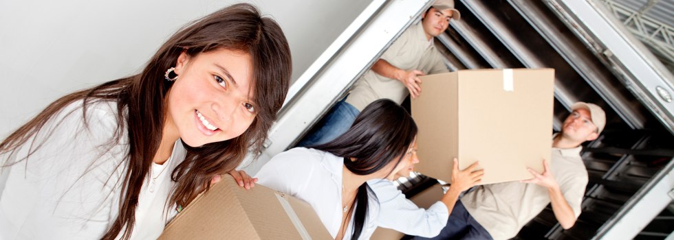 Professional Removalists Brockley